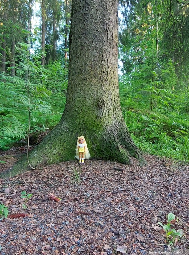 Девочка и волшебный лес — Куклы Rainbow High (Рейнбоу Хай