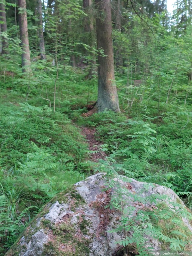Девочка и волшебный лес — Куклы Rainbow High (Рейнбоу Хай (фото 4)