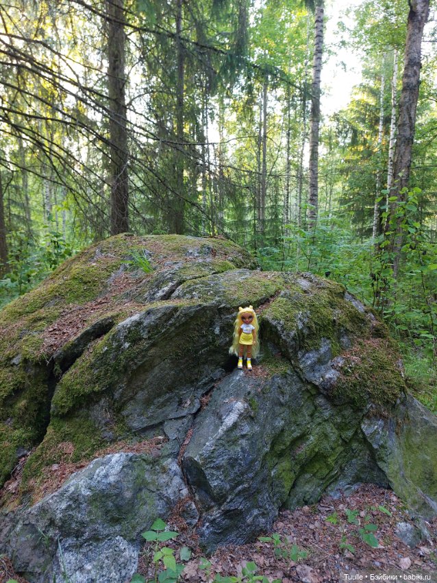Девочка и волшебный лес — Куклы Rainbow High (Рейнбоу Хай (фото 8)