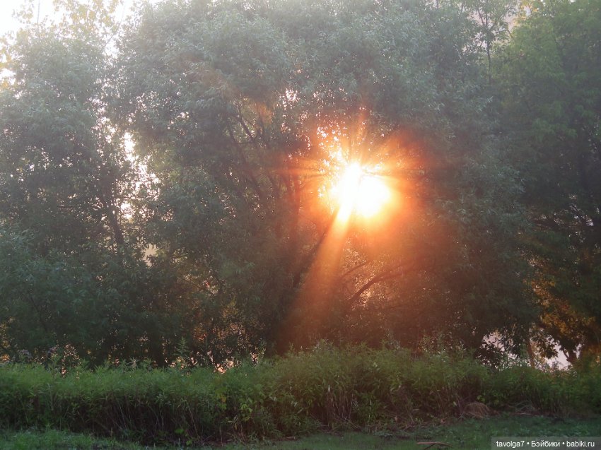 Летнее Солнцестояние — Куклы J