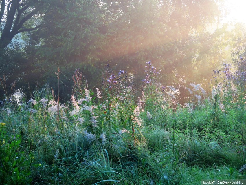 Летнее Солнцестояние — Куклы J (фото 2)