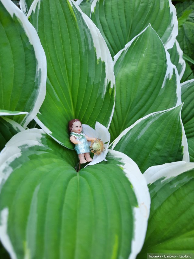 Мы к вам опять-теперь нас пять🥰🌹🌷🌼🌸🌺