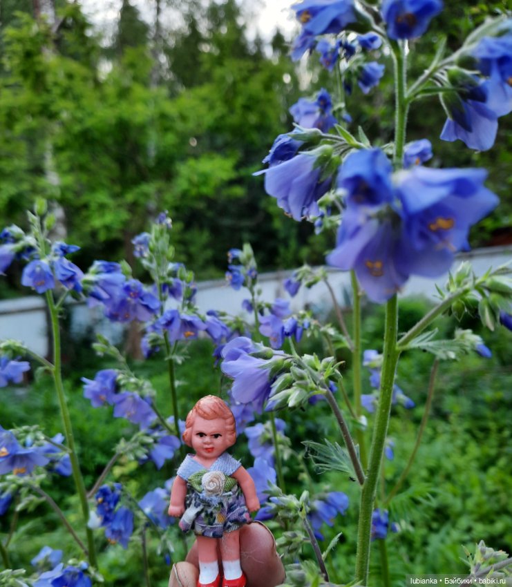 Мы к вам опять-теперь нас пять🥰🌹🌷🌼🌸🌺