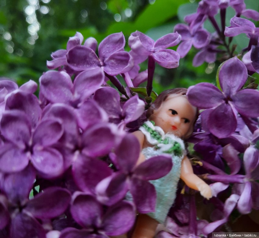 Мы к вам опять-теперь нас пять🥰🌹🌷🌼🌸🌺