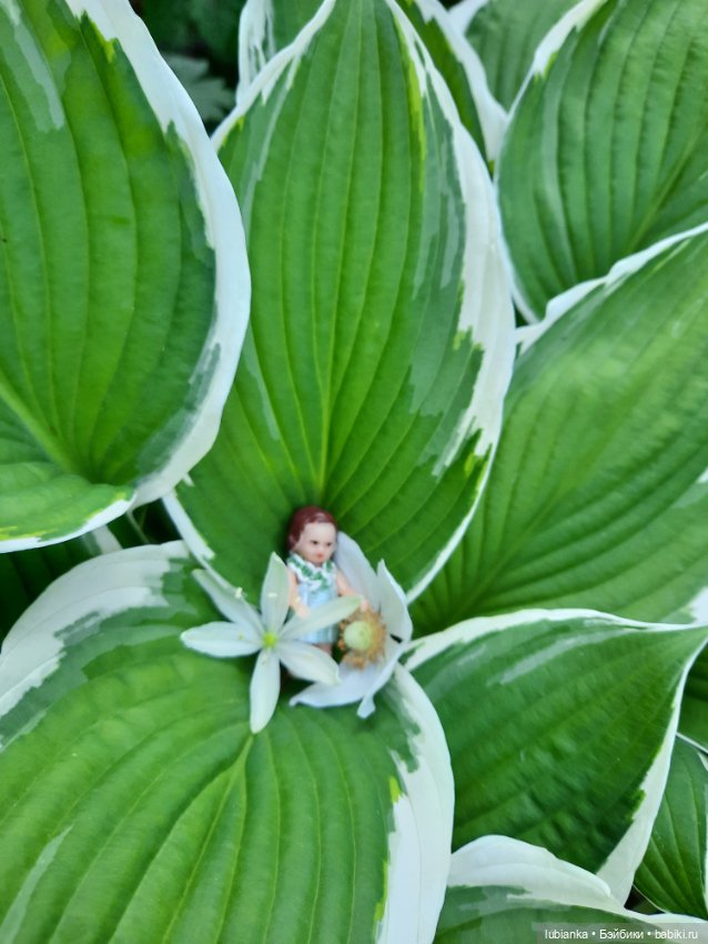 Мы к вам опять-теперь нас пять🥰🌹🌷🌼🌸🌺