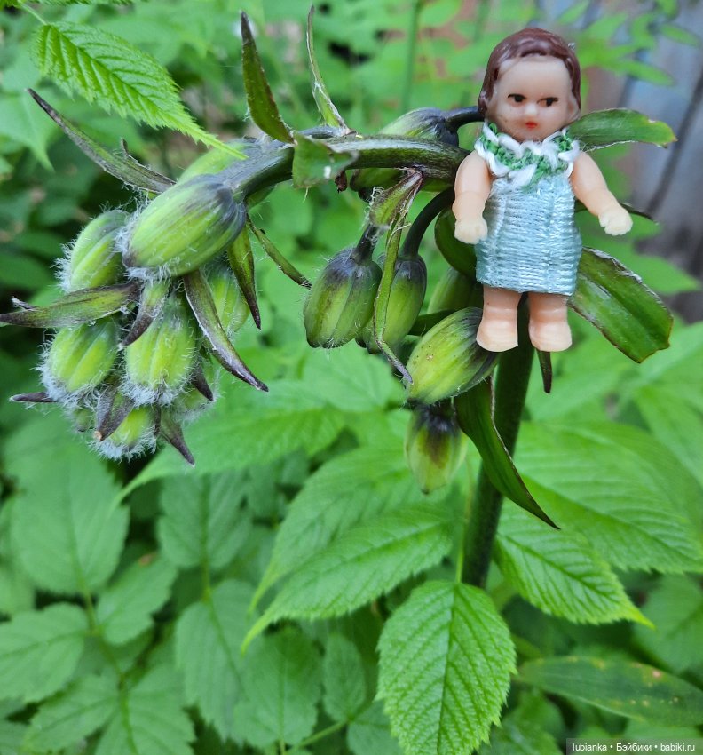 Мы к вам опять-теперь нас пять🥰🌹🌷🌼🌸🌺