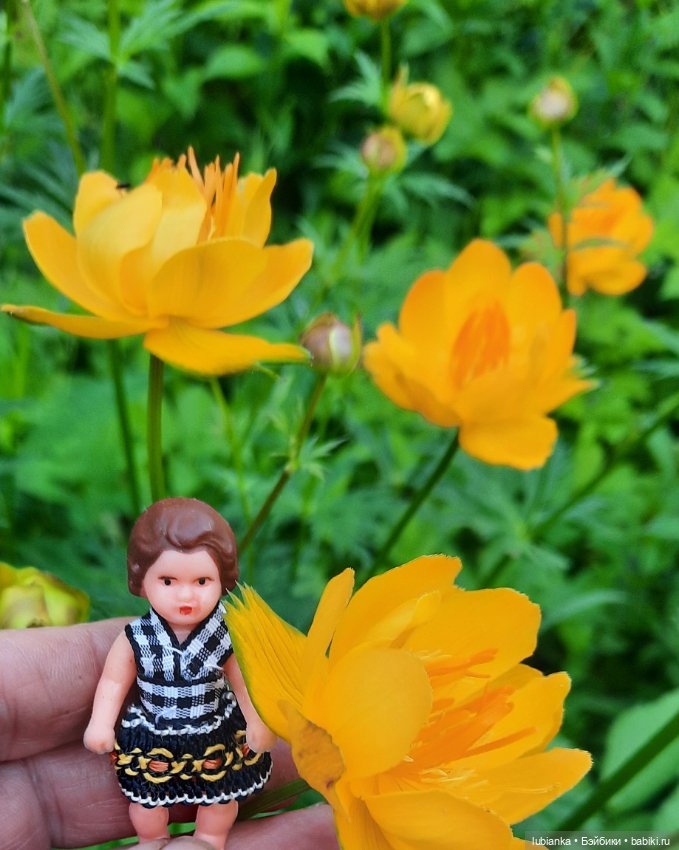 Мы к вам опять-теперь нас пять🥰🌹🌷🌼🌸🌺