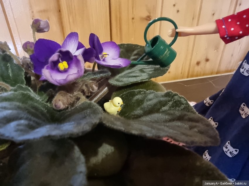 Я маленький, мир большой — Домашние фото авторских игрушек: Тедди