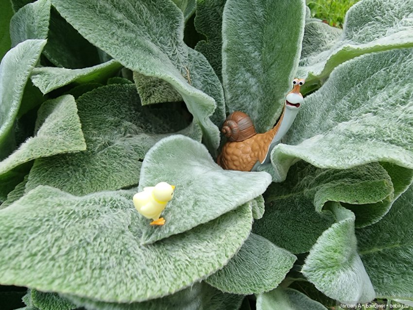 Я маленький, мир большой — Домашние фото авторских игрушек: Тедди (фото 3)