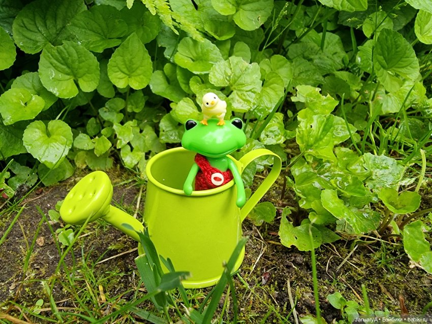 Я маленький, мир большой — Домашние фото авторских игрушек: Тедди (фото 9)