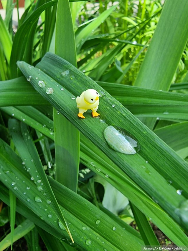 Я маленький, мир большой — Домашние фото авторских игрушек: Тедди (фото 2)