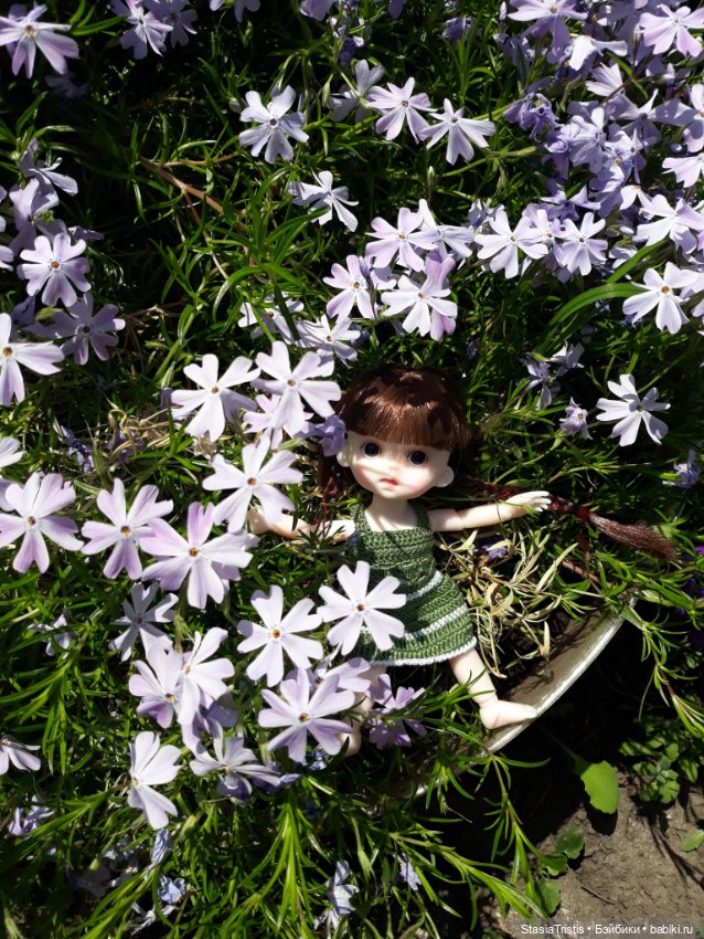 Желаем всем солнечного лета (фото 2)