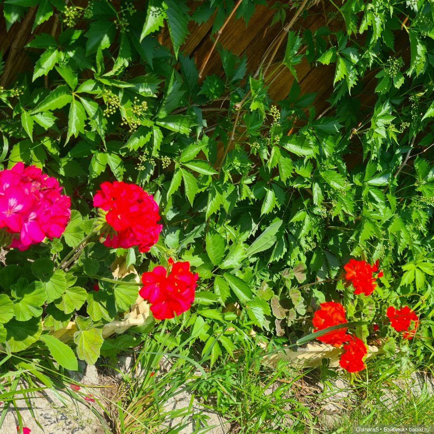 А мы такие, загараем — Фотоистории с куклами BJD (БЖД): сериалы (фото 6)