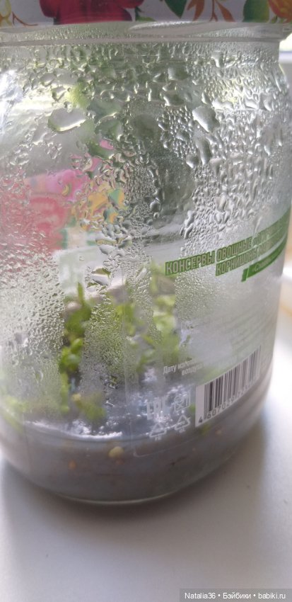 Моё другое увлечение — Другие хобби и увлечения: сад