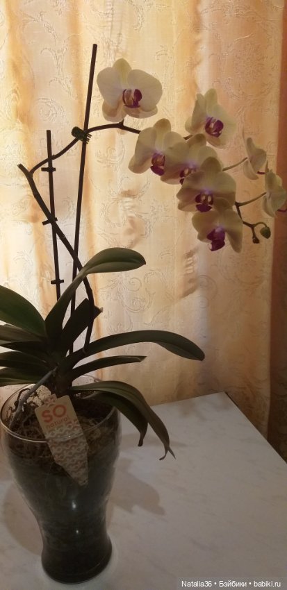 Моё другое увлечение — Другие хобби и увлечения: сад