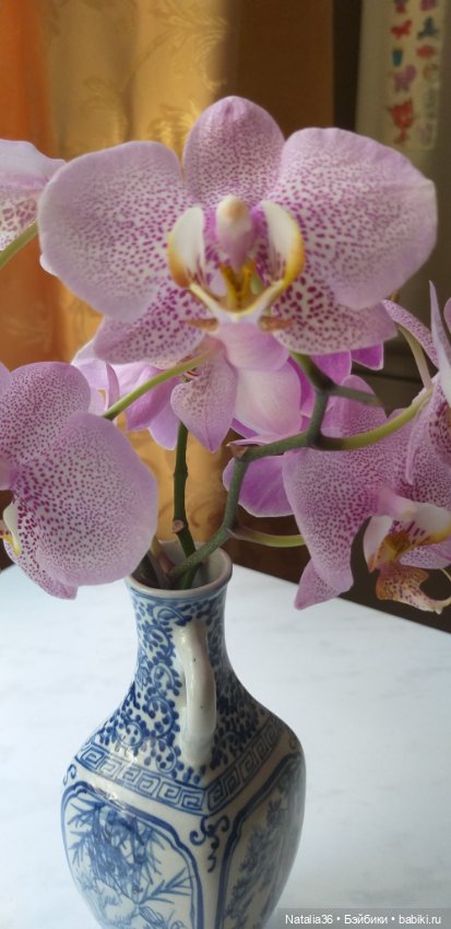 Моё другое увлечение — Другие хобби и увлечения: сад