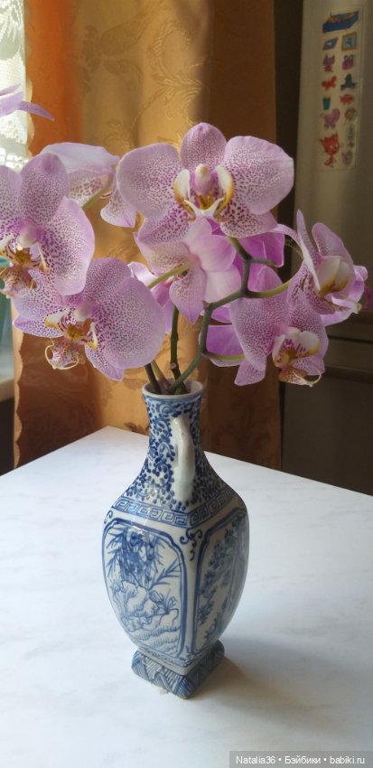 Моё другое увлечение — Другие хобби и увлечения: сад