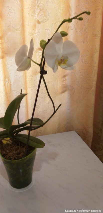 Моё другое увлечение — Другие хобби и увлечения: сад