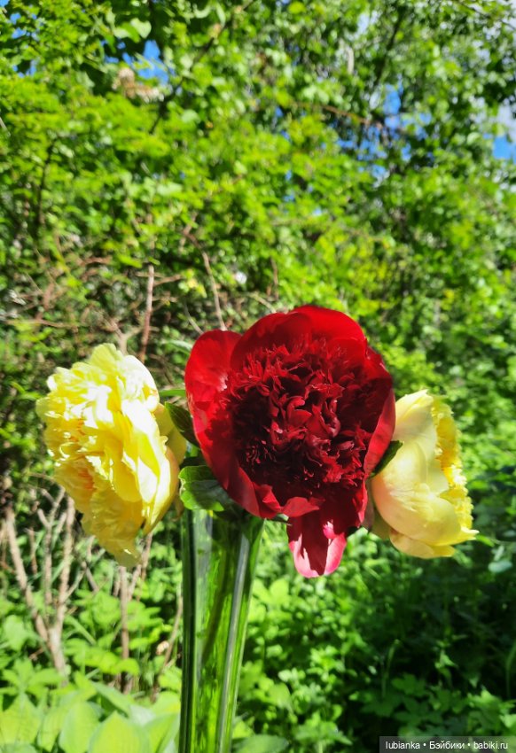 Теперь гуляем в веночках🥰 (фото 2)