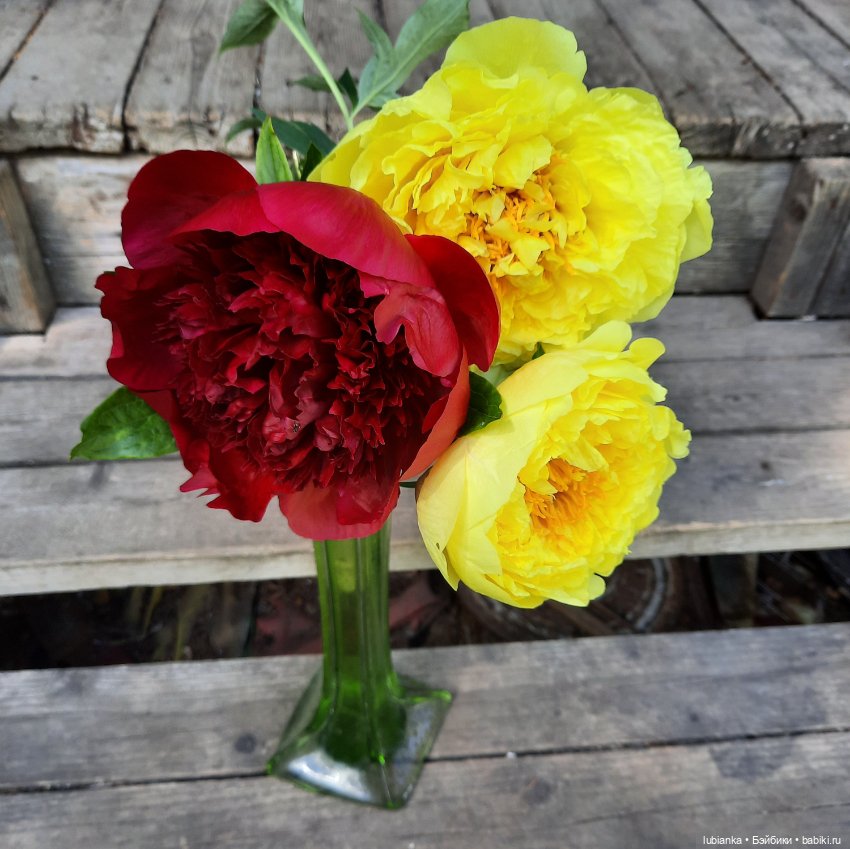 Теперь гуляем в веночках🥰