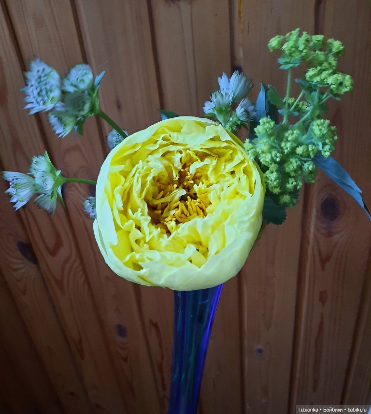 Теперь гуляем в веночках🥰