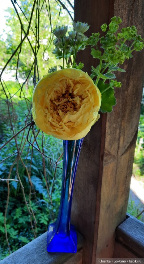 Теперь гуляем в веночках🥰 (фото 4)