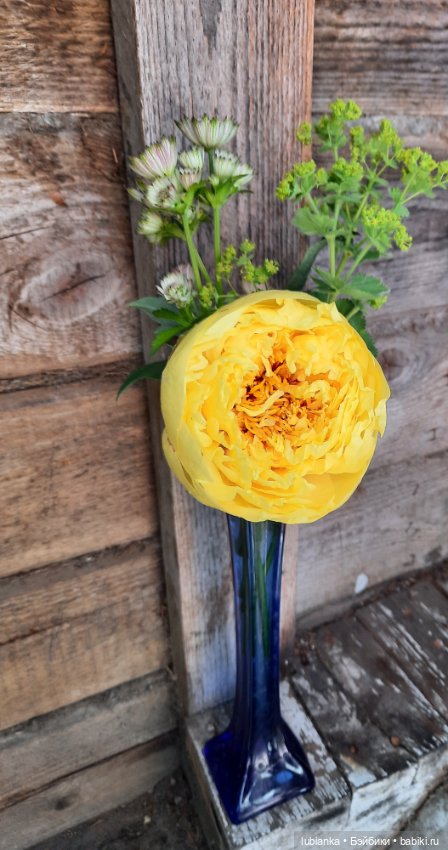 Теперь гуляем в веночках🥰 (фото 5)