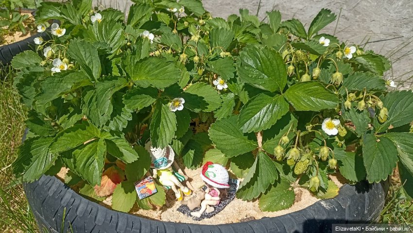 Загораем. Realpuki. 166 — Фотоистории с куклами BJD (БЖД): сериалы