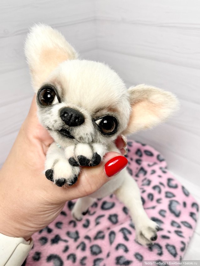 Джентли 🐾🐶 — Реалистичные игрушки и звери (Натюр): собаки (фото 8)