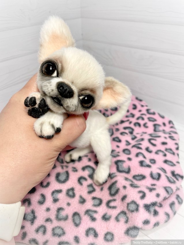 Джентли 🐾🐶 — Реалистичные игрушки и звери (Натюр): собаки