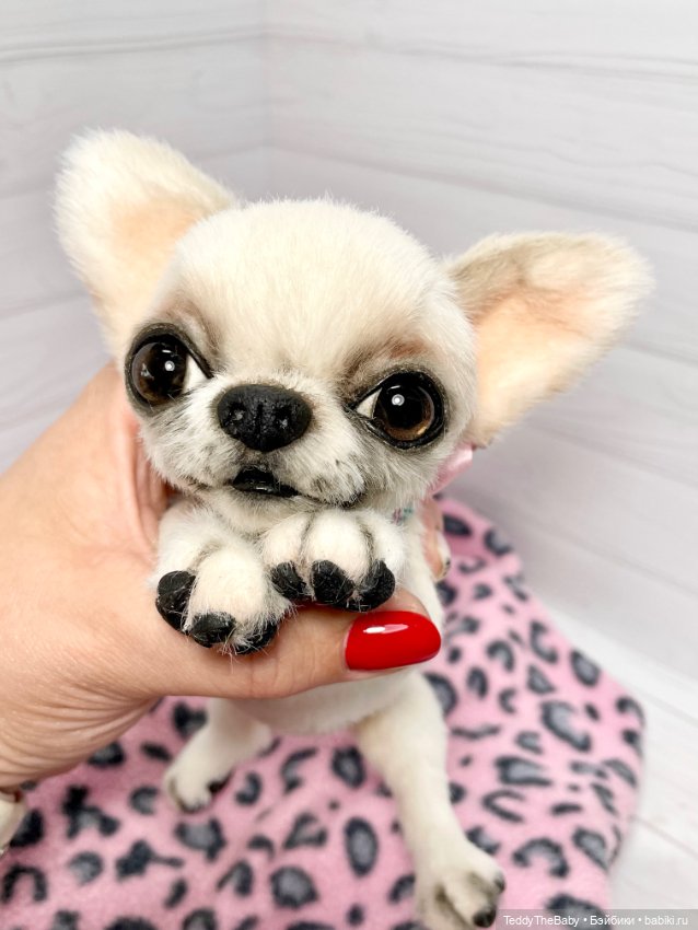Джентли 🐾🐶 — Реалистичные игрушки и звери (Натюр): собаки (фото 9)