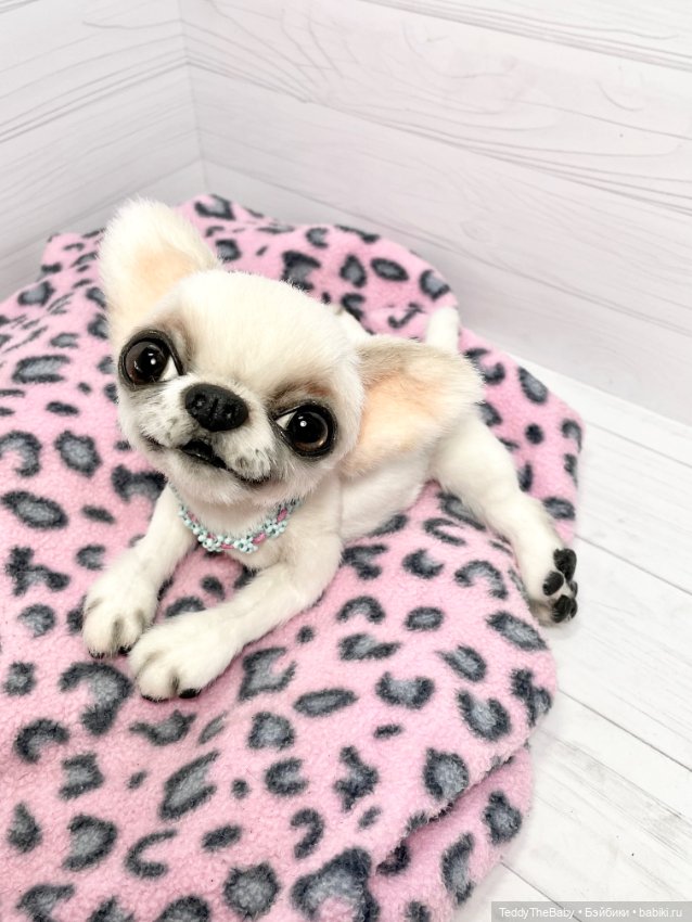 Джентли 🐾🐶 — Реалистичные игрушки и звери (Натюр): собаки