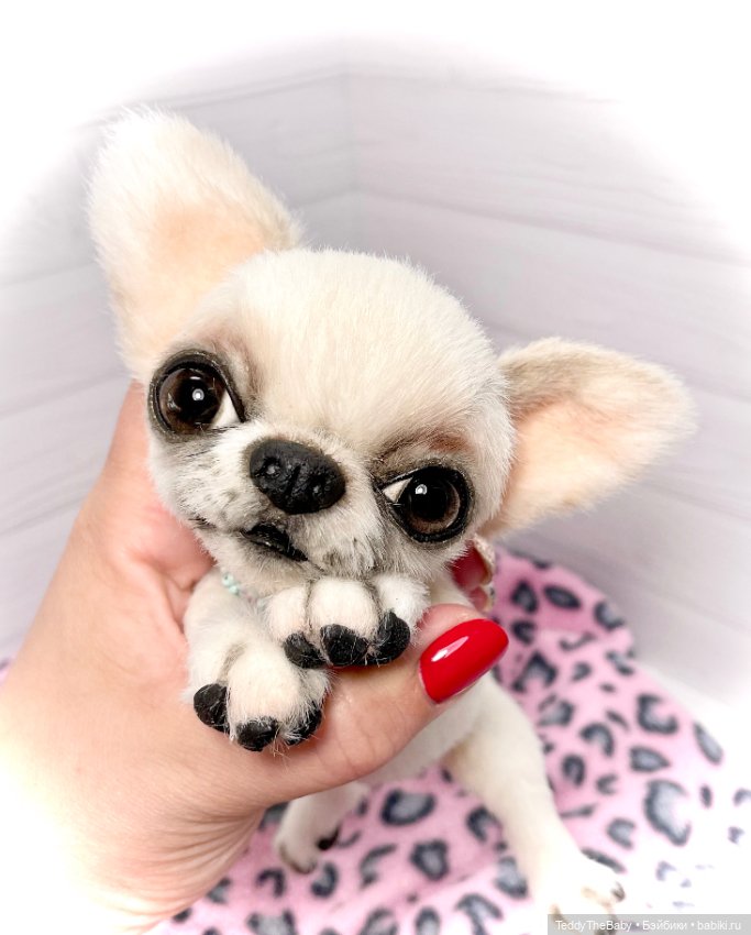 Джентли 🐾🐶 — Реалистичные игрушки и звери (Натюр): собаки (фото 7)