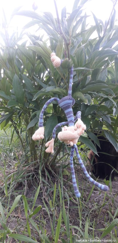 Крендель непоседа — Вязаные игрушки и амигуруми: крючком