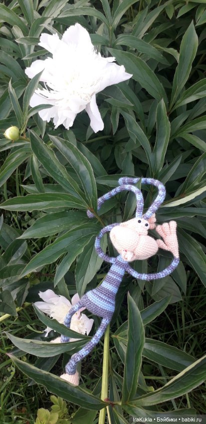 Крендель непоседа — Вязаные игрушки и амигуруми: крючком (фото 8)