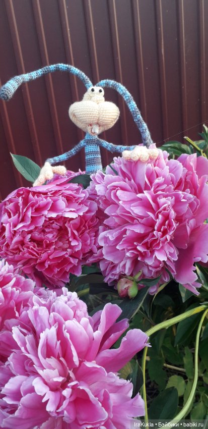 Крендель непоседа — Вязаные игрушки и амигуруми: крючком
