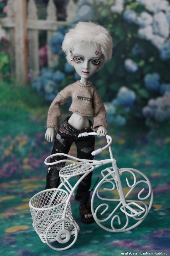 Лето! Амигаты осваивают велосипед...))) (фото 7)