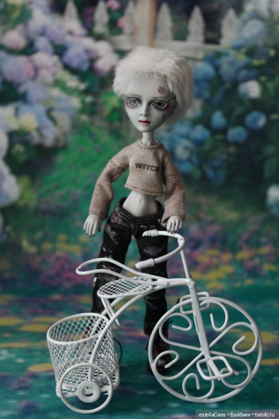 Лето! Амигаты осваивают велосипед...))) (фото 2)