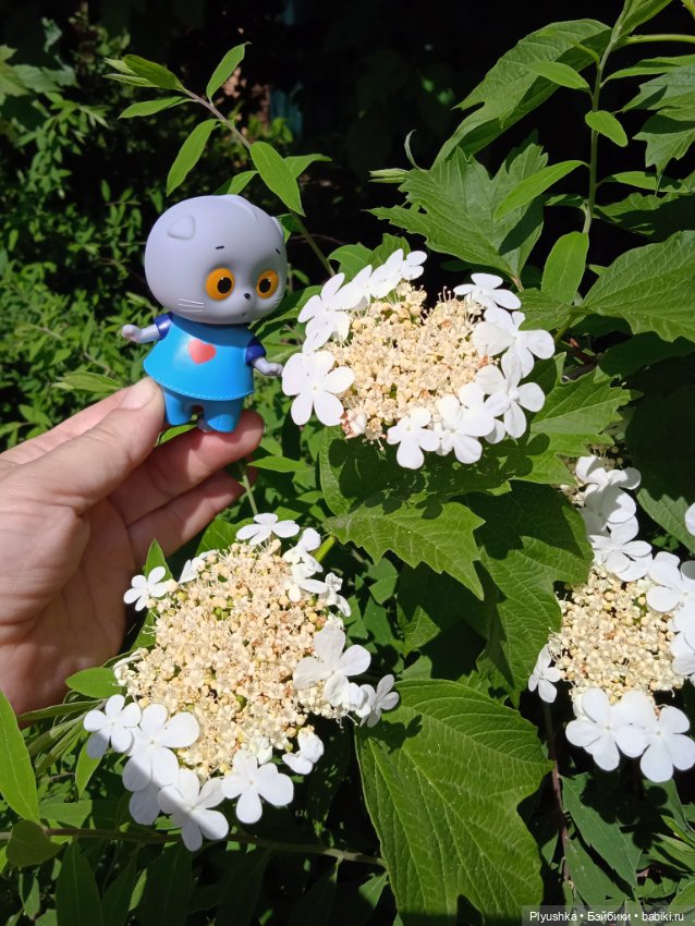 Крошка Басик гуляет — Кот Басик (фото 5)