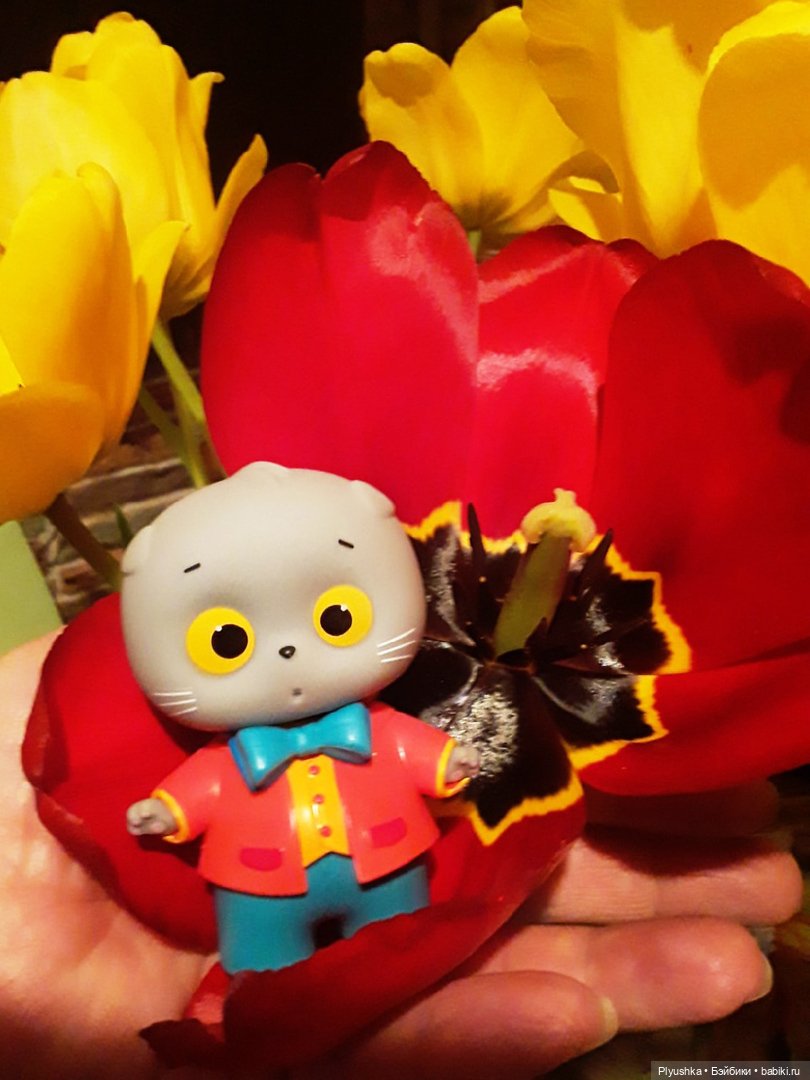 Крошка Басик гуляет — Кот Басик (фото 9)