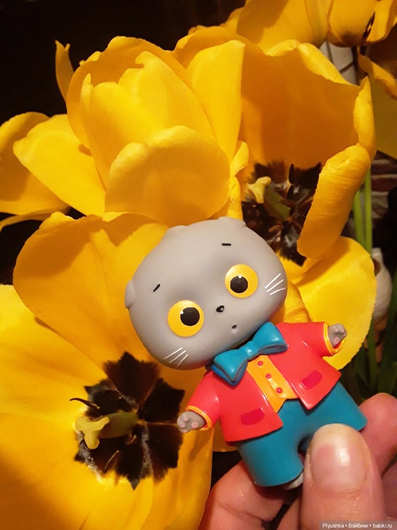 Крошка Басик гуляет — Кот Басик (фото 8)