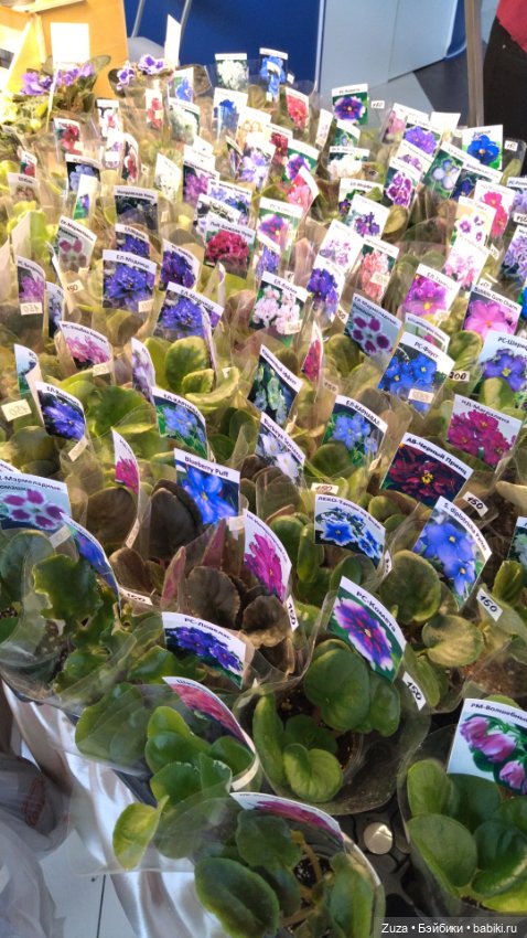 Булочка Элис — Куклы Nines d'Onil (Нинес): Миа (Mia) (фото 8)