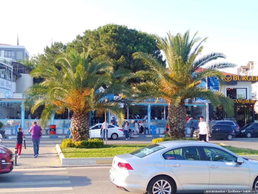 Путевые фотозаметки Эвики, начало (фото 9)