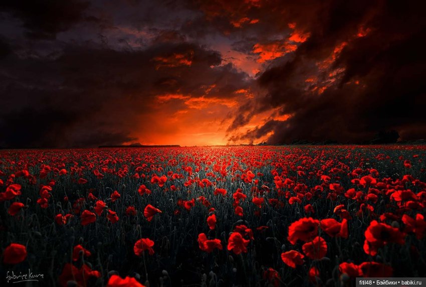 Мы идем по полю с конем — Куклы Paola Reina (Паола Рейна): новинки