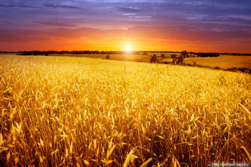 Мы идем по полю с конем — Куклы Paola Reina (Паола Рейна): новинки