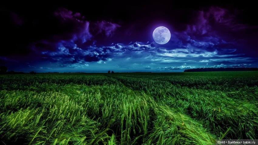 Мы идем по полю с конем — Куклы Paola Reina (Паола Рейна): новинки