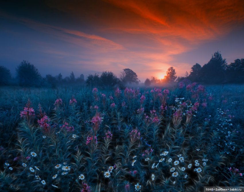 Мы идем по полю с конем — Куклы Paola Reina (Паола Рейна): новинки