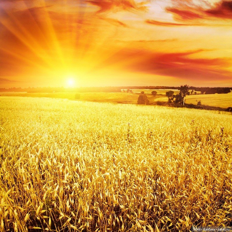 Мы идем по полю с конем — Куклы Paola Reina (Паола Рейна): новинки (фото 8)