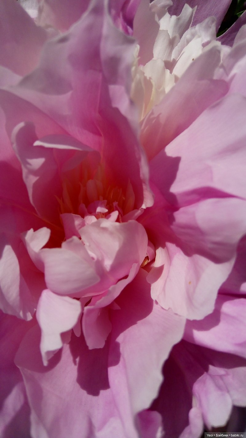 Как Хантер ЭАХ провел воскресенье, отдых