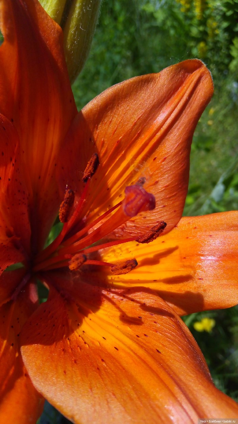 Как Хантер ЭАХ провел воскресенье, отдых (фото 4)